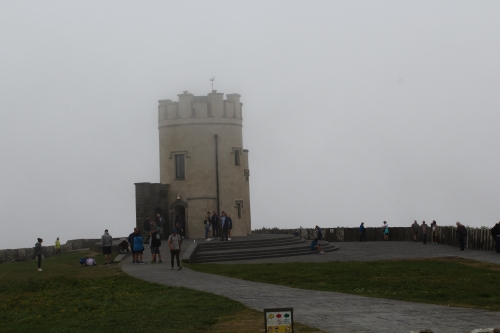 IMG 3996