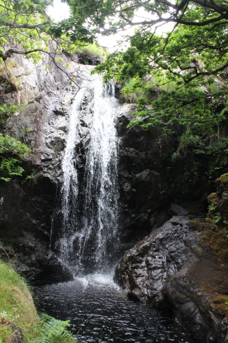 IMG 4099